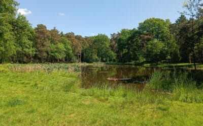 De Entekoele